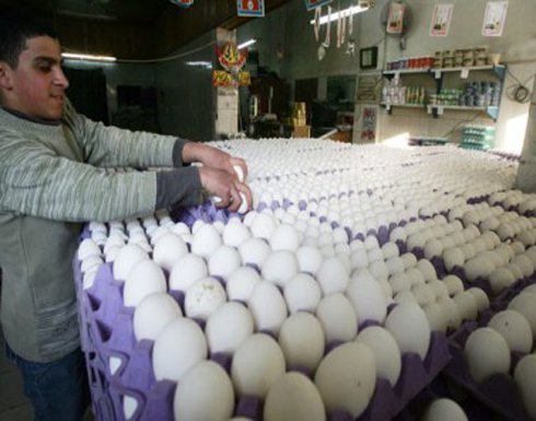 ارتفاع في سعر البيض.. وخبراء السوق يتوقعون الزيادة
